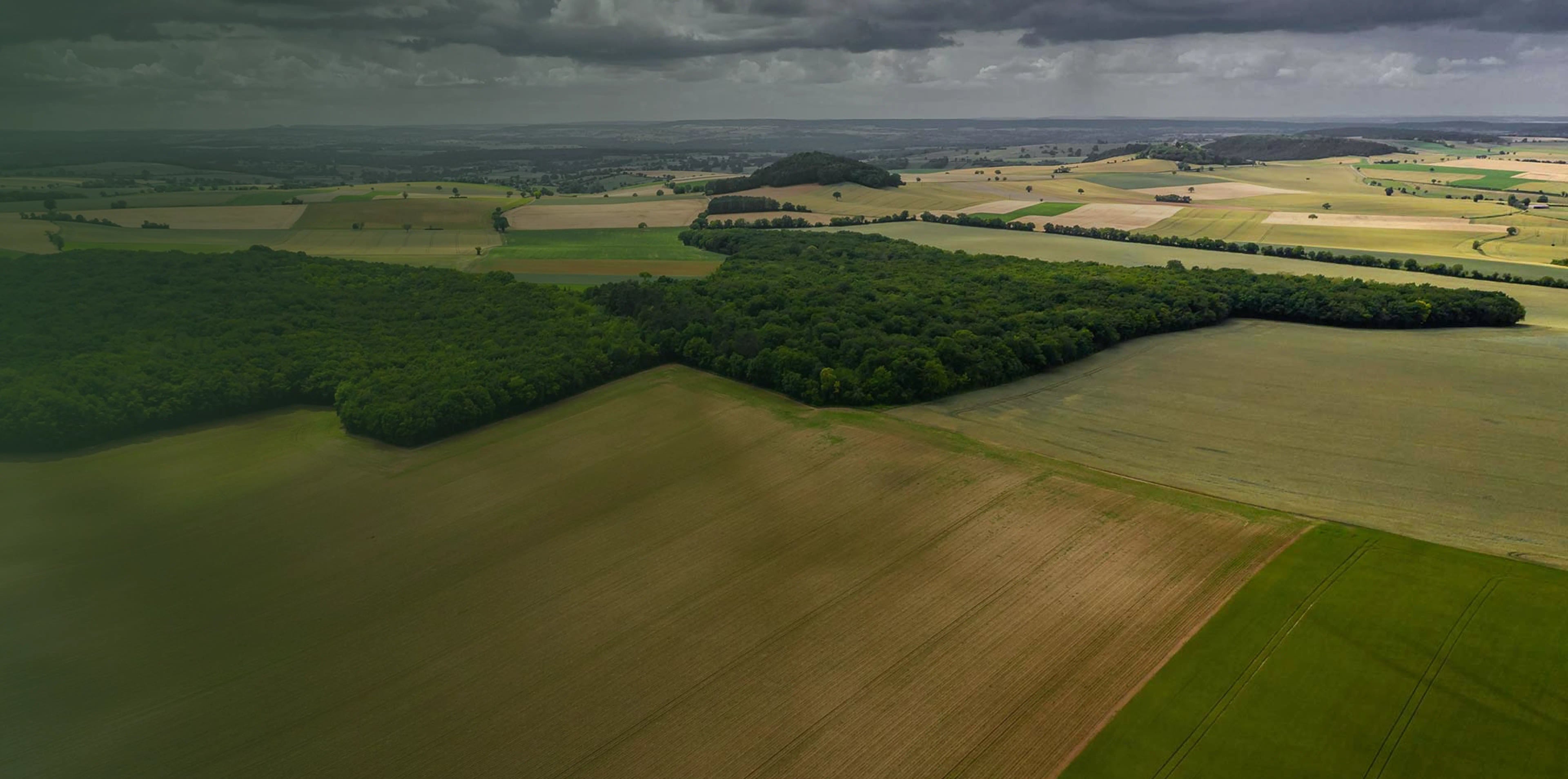 Mazingira and KCB Bank in Muhoroni