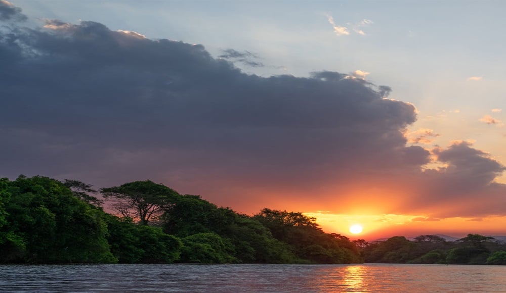 Lake Victoria Basin - Environmental restoration projects