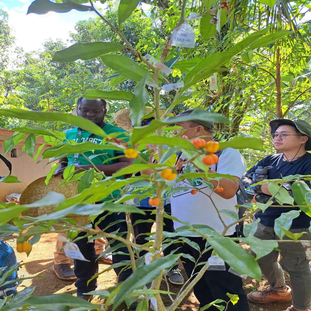 About Mazingira na Jamii